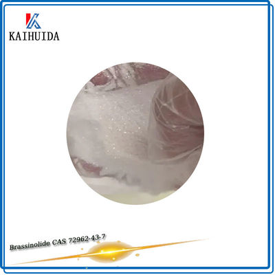 Produtos químicos Brassinolide 90% TC CAS 72962-43-7 do regulador de crescimento vegetal do ODM agro