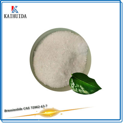 o regulador de crescimento vegetal natural de 0.1%Sp Brassinolide pulveriza CAS 72962-43-7